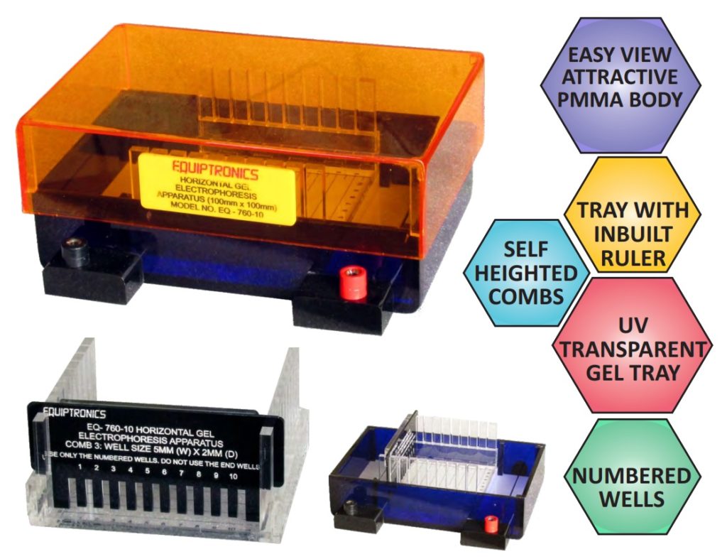 Equiptronics HORIZONTAL GEL ELECTROPHORESIS APPARATUS