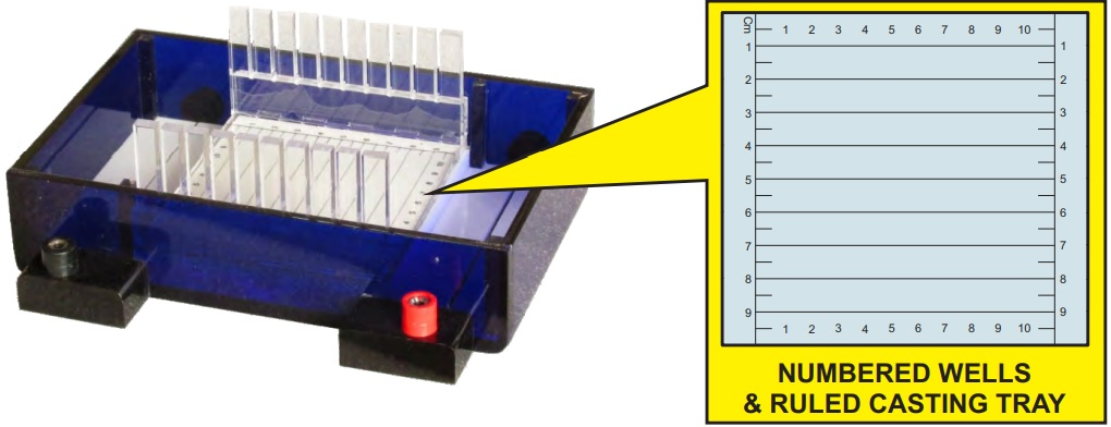Equiptronics HORIZONTAL GEL ELECTROPHORESIS APPARATUS